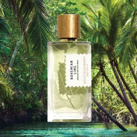 Goldfield & Banks Australia Bohemian Lime
